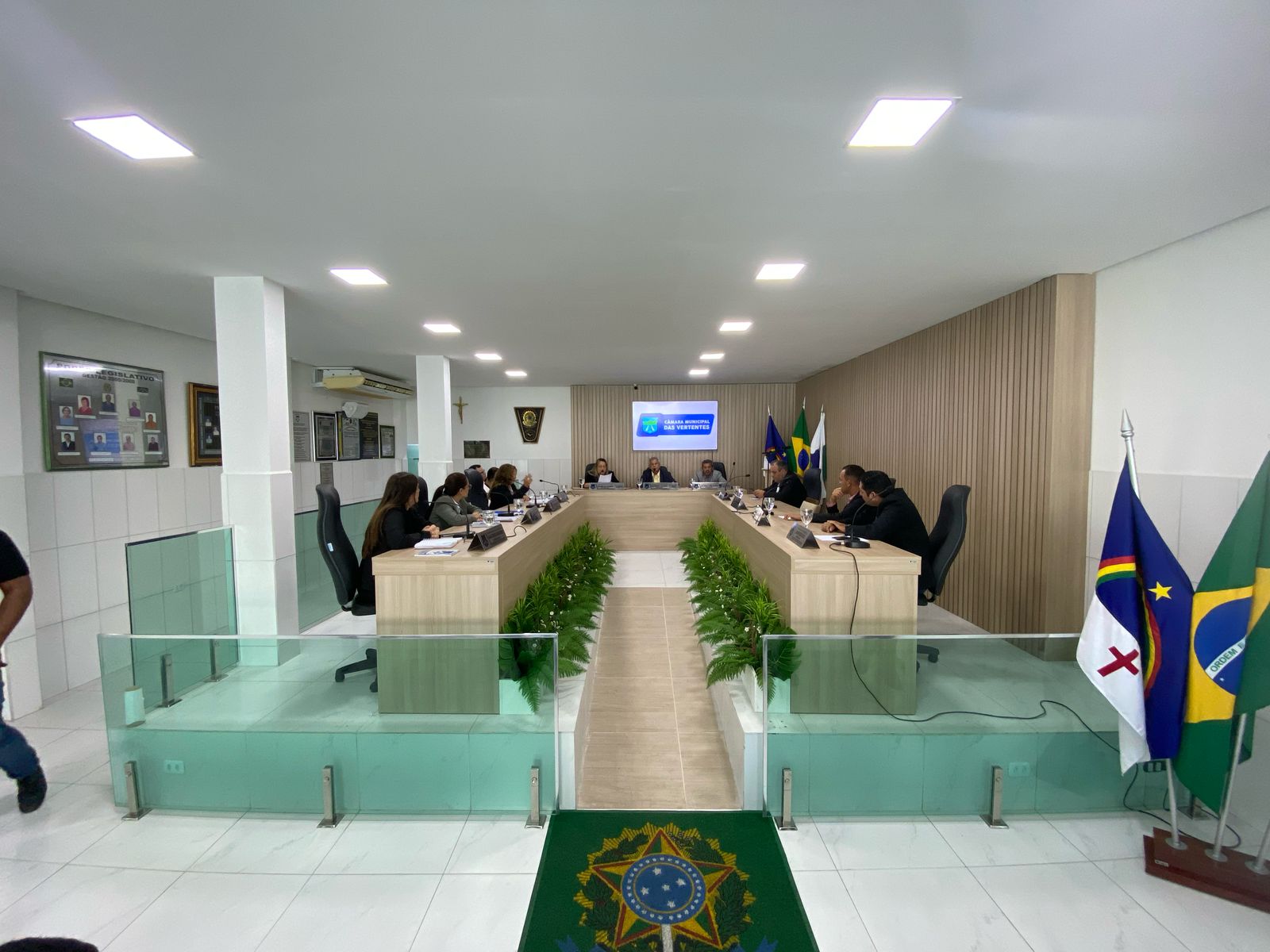 Vereadores aprovam em primeira votação PL para doação de peixes na Semana Santa